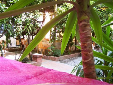 Albergo Lavagnese Lavagna Buitenkant foto